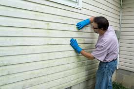 Professional Siding in Walnut Ridge, AR